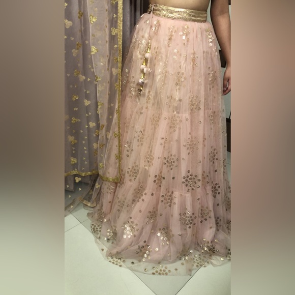 Light pink royal extremely heavy lehenga! - Picture 10 of 11